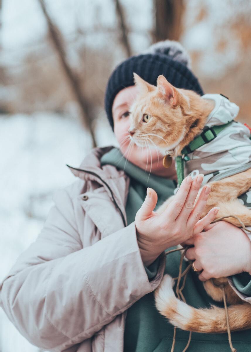 Кошки против собак. Кого завести, кошку или собаку? | Дневник кошатницы |  Дзен