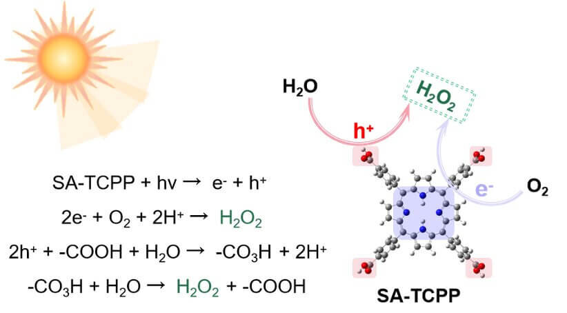    Фото: Предлагаемые схемы получения H 2 O 2 на супрамолекулярных фотокатализаторах SA-TCPP / Университет Цзяннань и Университет Цинхуа