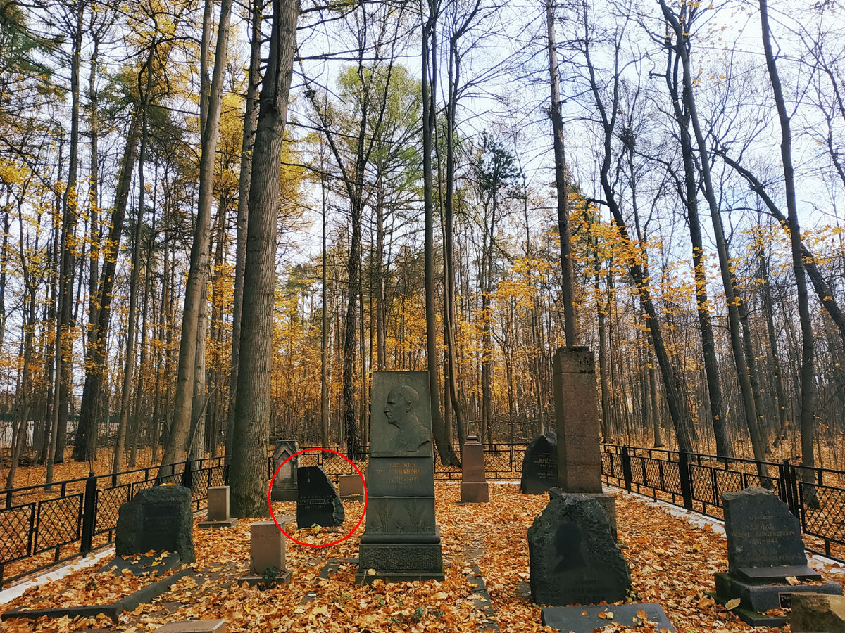 Могила А.Ф. Фортунатова на Профессорском кладбище в Тимирязевском парке 
<Листай галерею>