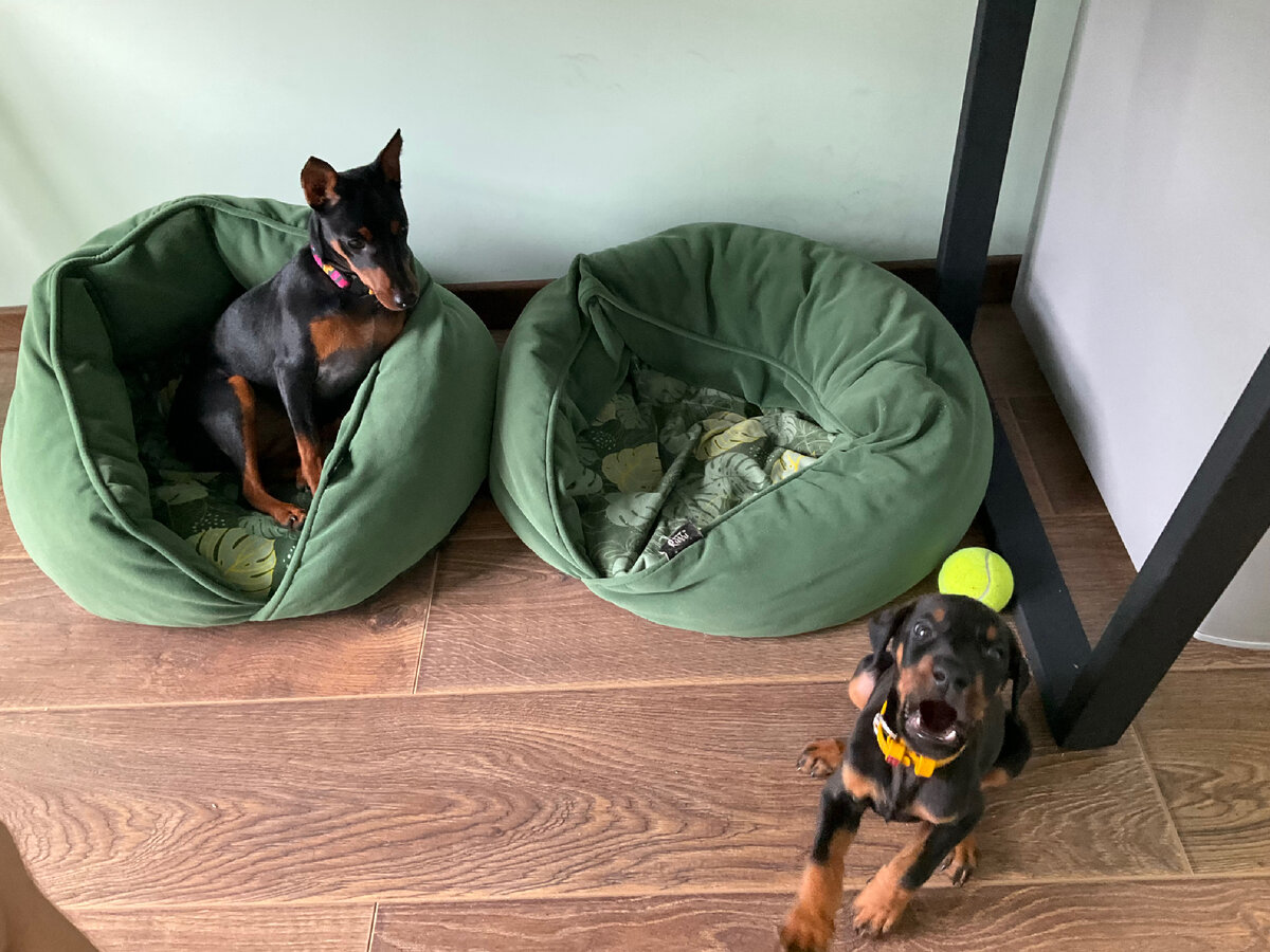 Наши демоны: Битси и Калеб