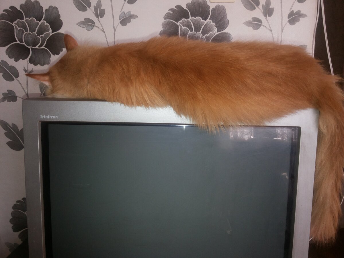 Вот что выросло