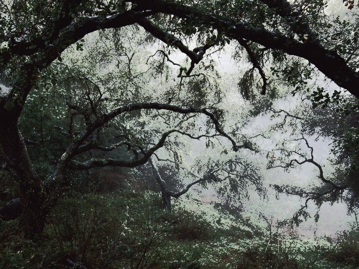 Картинка взята с просторов Интернета