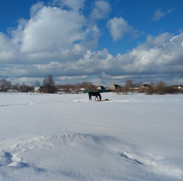 Фото Бутина Ю.