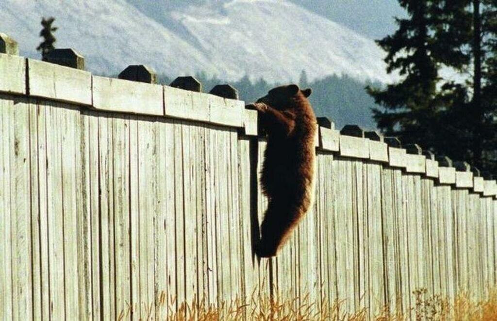 Фото и интернета