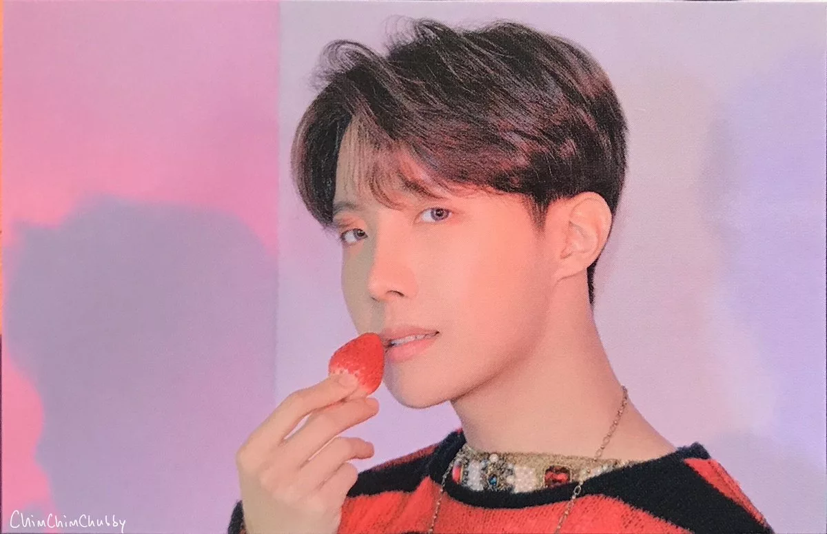 Чон Хосок bts