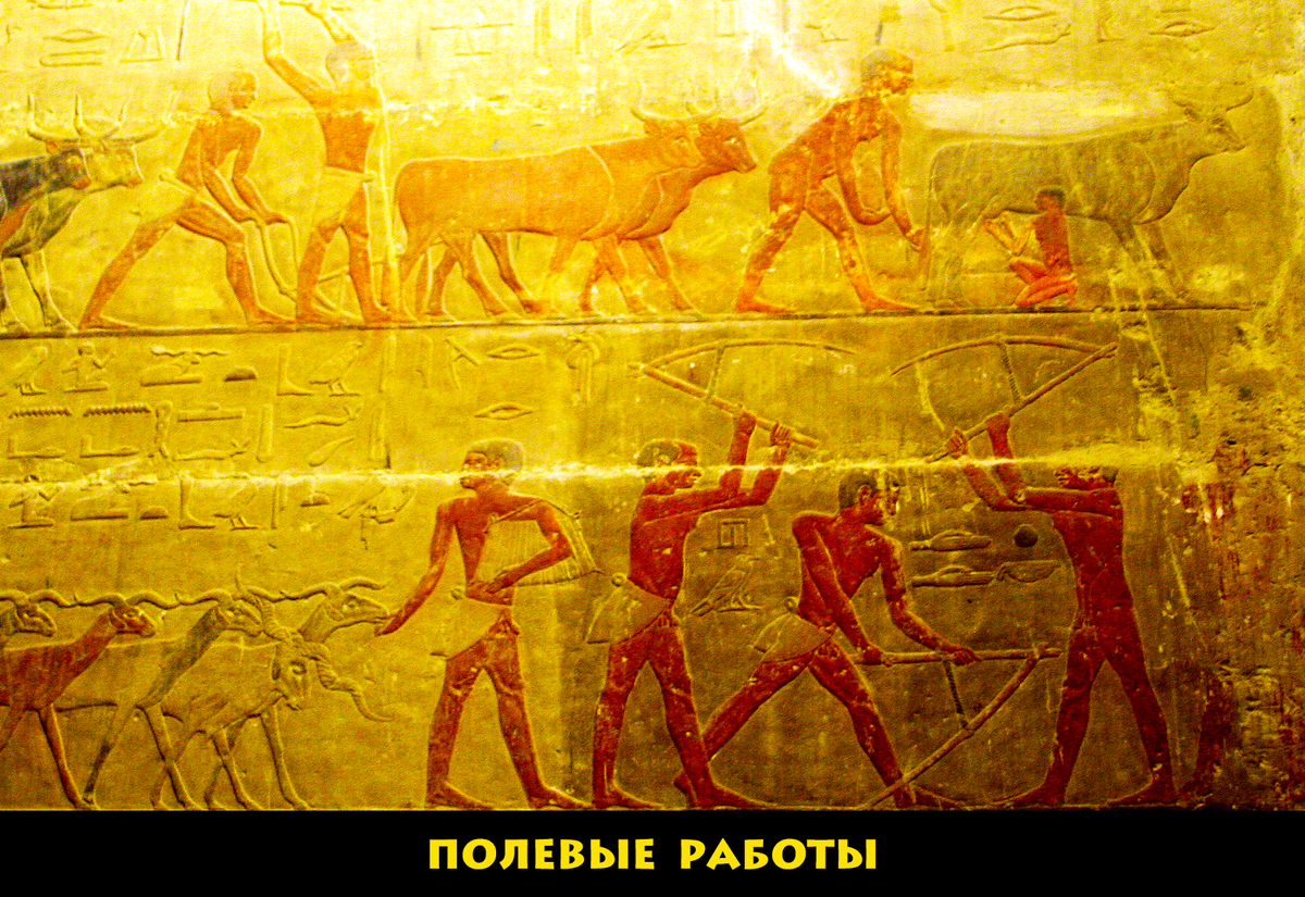 Земледельцы и скотоводы вместе бьются за урожай.