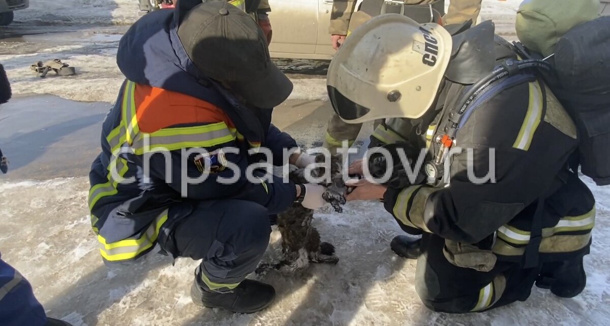 На месте работают спасатели областной и городской службы спасения, сотрудники пожарной охраны, медики скорой помощи.