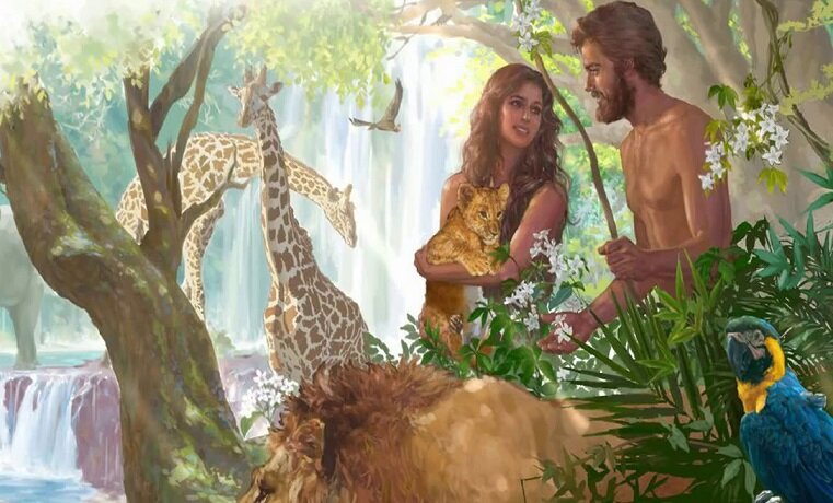 Фото из открытых источников