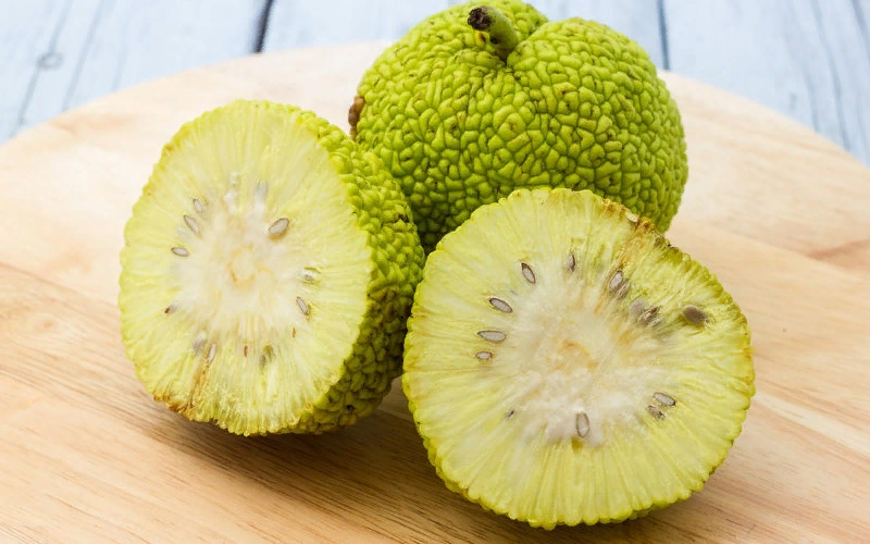 Фото взято из интернета