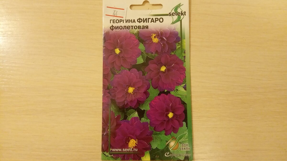 Это тоже Фираго, только фиолетовая. У нее желтая середина