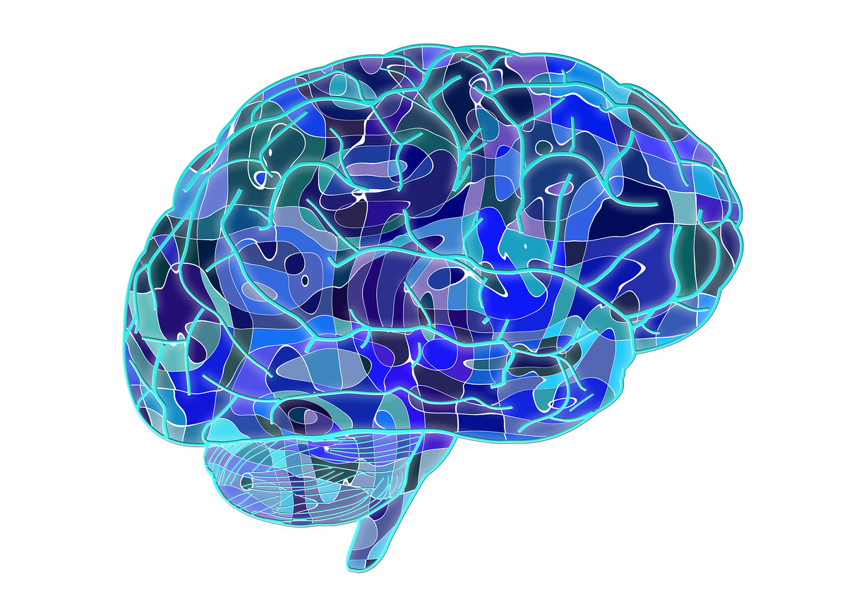 Фото с сайта pixabay.com