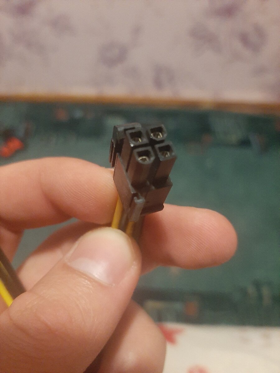 Фото из личного архива