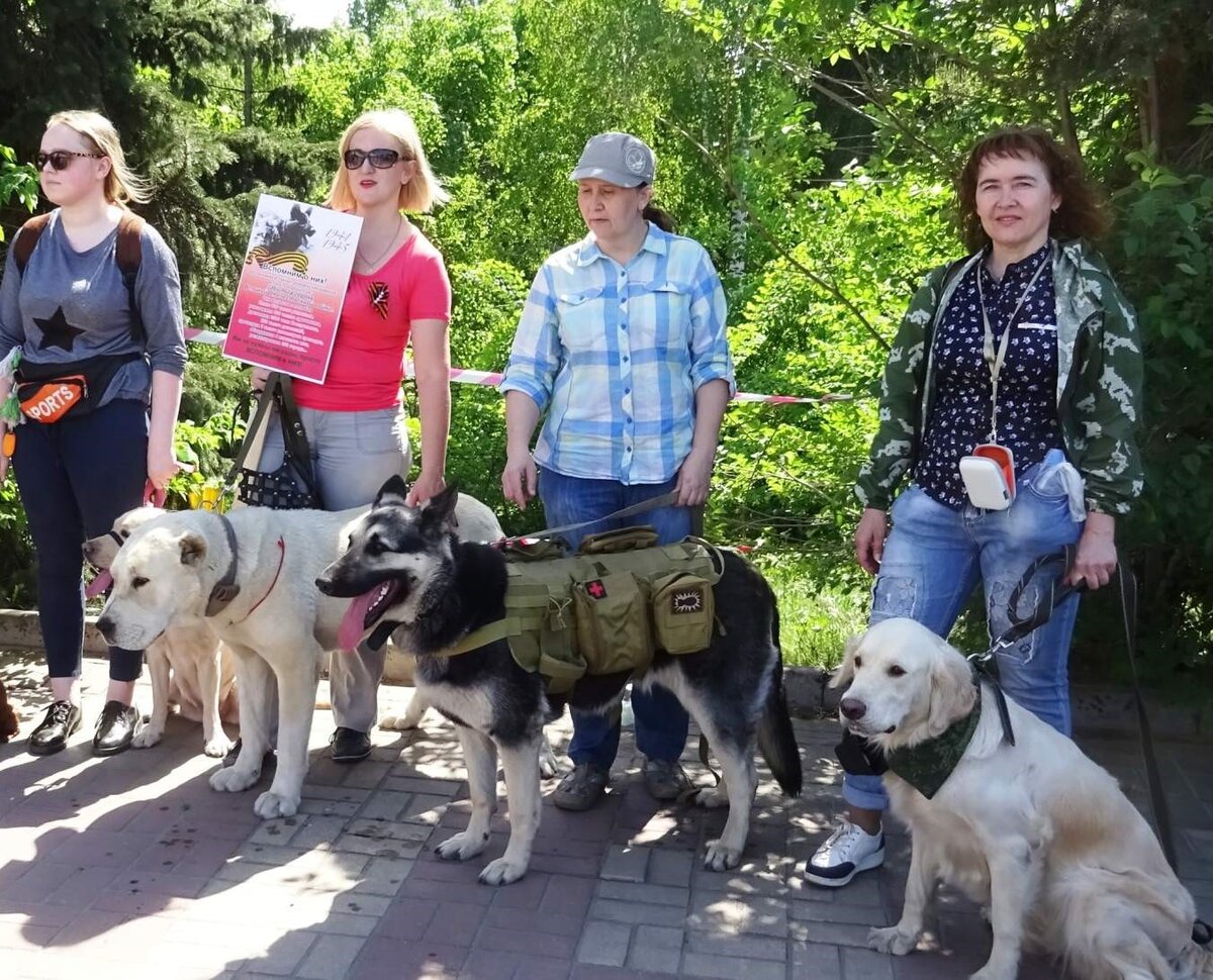 Небольшая часть нашего Лохматого полка на День Победы. Реакция народа была неоднозначна, поэтому я больше не стала организовывать это шествие. 