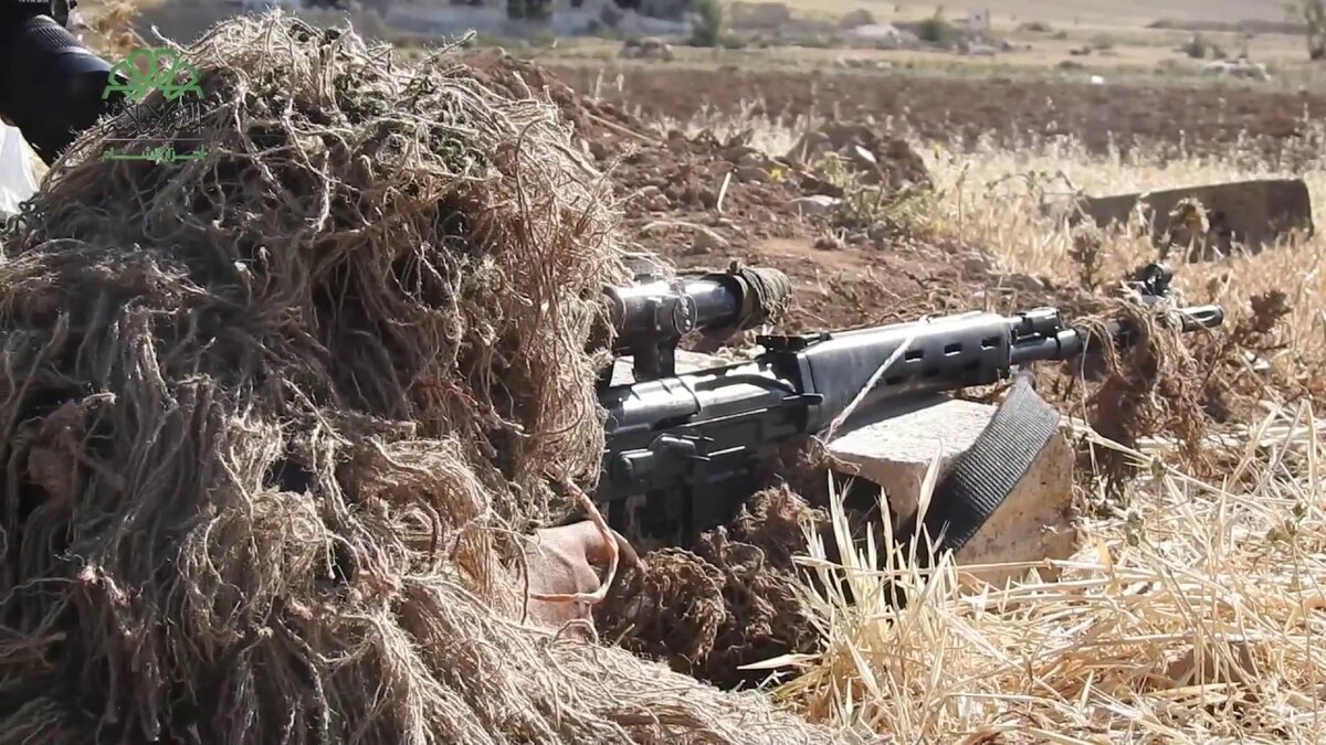 Фото из открытых источников