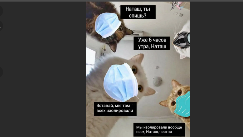 Мем из ВК "Котизм" в варианте sobaka
