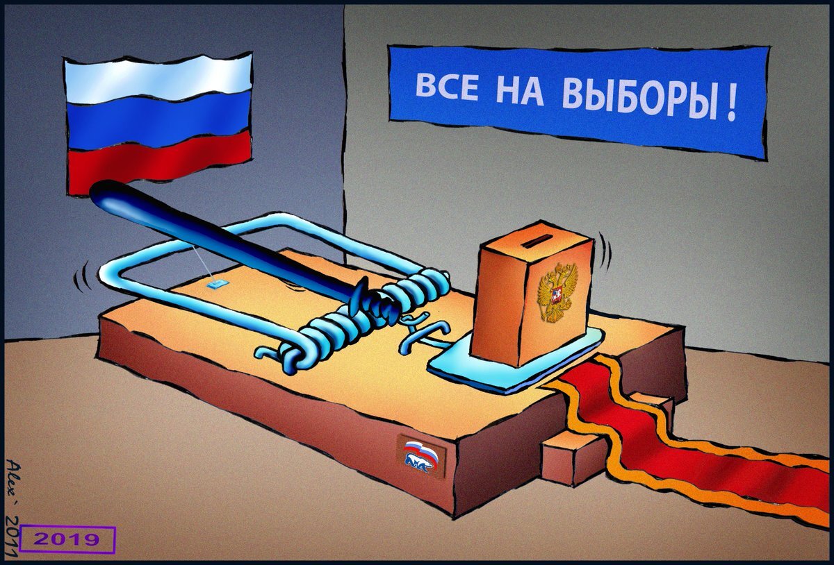 Выборы картинки прикольные