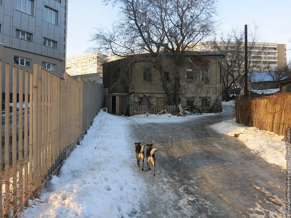 Источник фото: https://avatars.mds.yandex.net