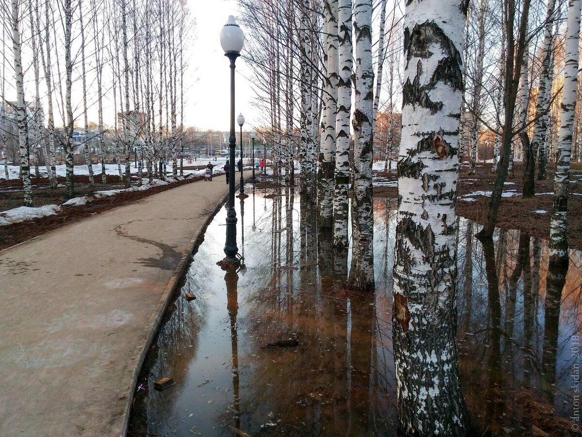 Кочуровский парк Киров зимой