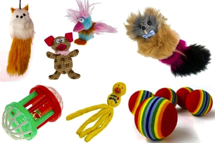 Не забывайте про игрушки, игры — важный процесс в жизни и разуме кошки!