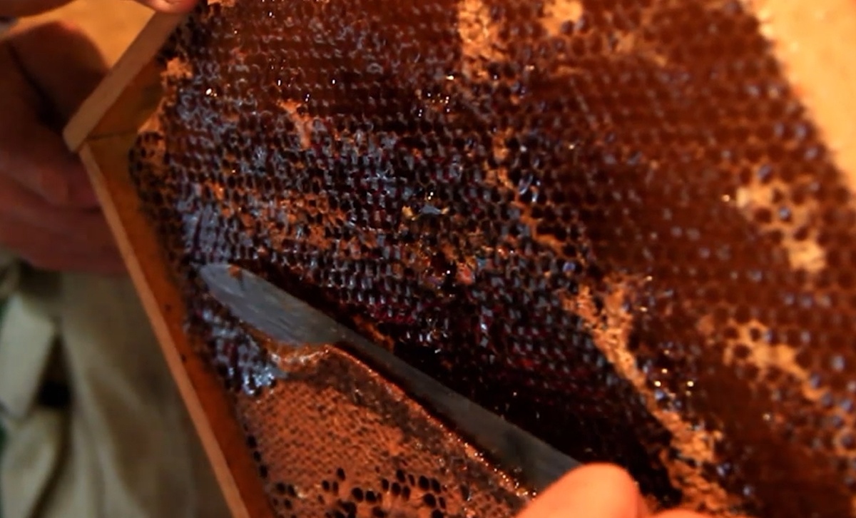 Срезаем соты с рамки с мёдом