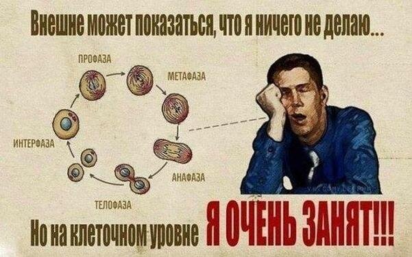 9 Популярных Отмазок Лентяев