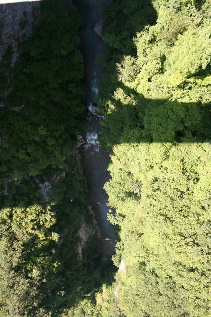 Река Тара. Фото автора.