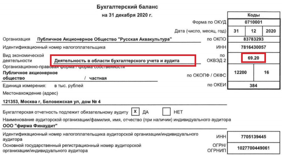 Скрин вводной части бухгалтерского баланса, выделено автором.