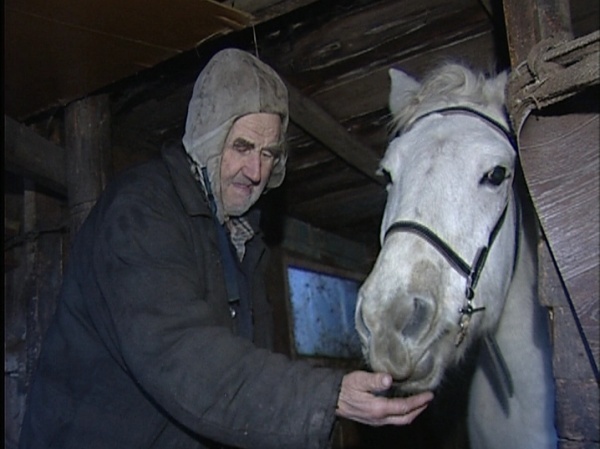 Фото с интернета.