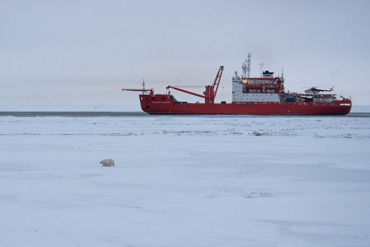 Российский исследовательский ледокол Академик Фёдоров в Арктике. Источник :US Department of Energy Atmospheric Radiation Measurement