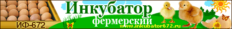 inkubator672.ru