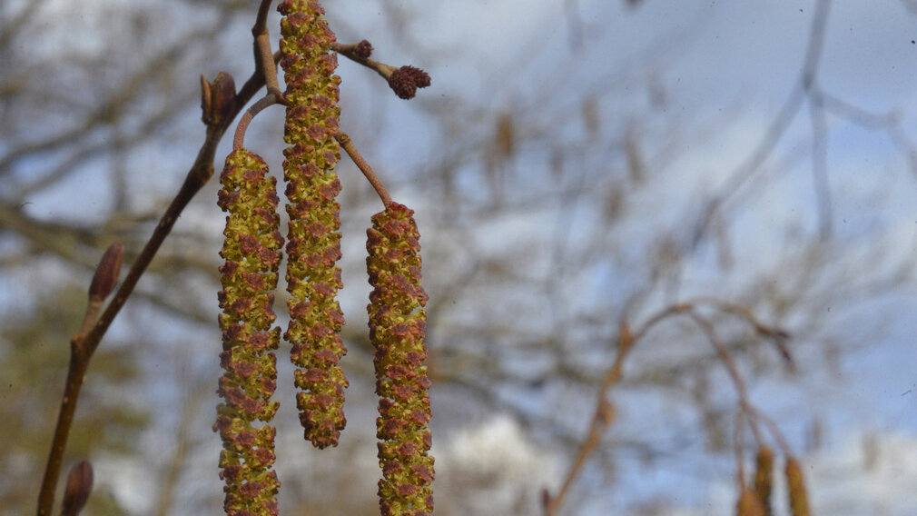 ФОТО: Николай Шпиленок