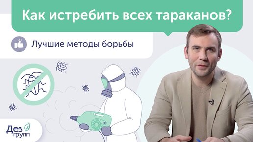 Уничтожение тараканов: как истребить? Грамотная обработка от тараканов