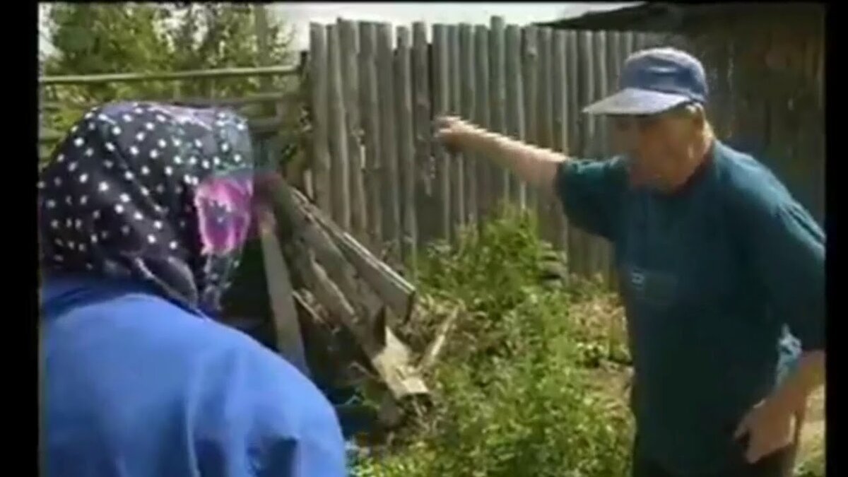 фото из открытого источника сети интернет