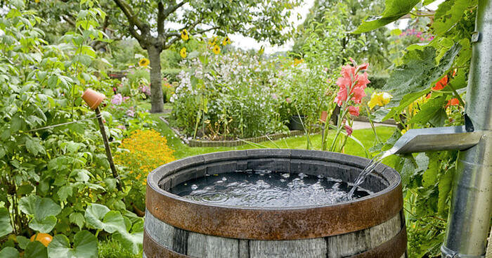 Бочку обычно наполняют с вечера / Фото: flipboard.com