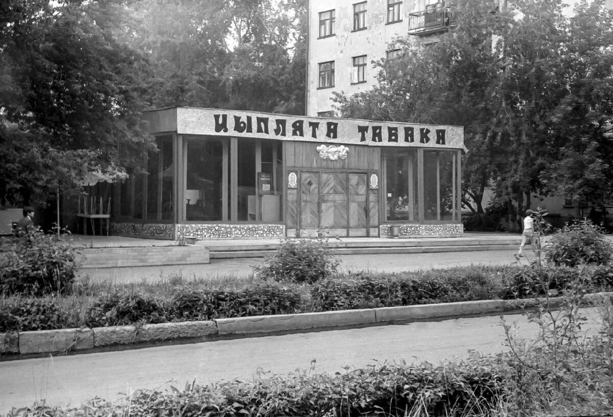 Фото из открытого доступа