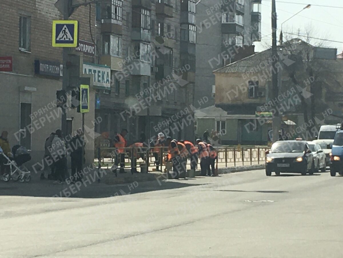 ФОТО: ТРК «Брянская Губерния»