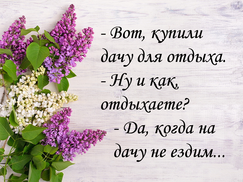 Познакомиться с девушкой во Львове, красиво отдохнуть и насладиться жизнью - MuzTur