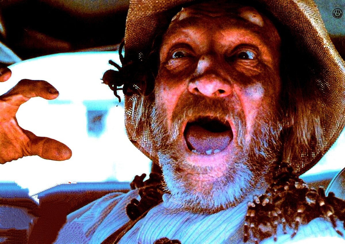 Кадр из фильма "Царство пауков" 