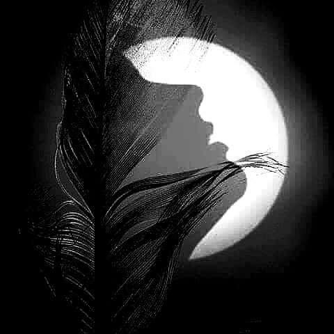 из сети интернета