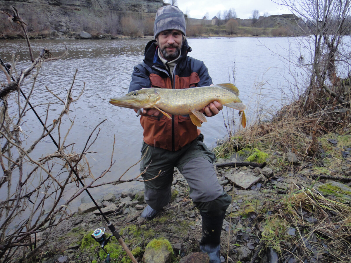 Зачем столько сложностей? Рыбу нашел - поймаешь. А не нашел... | Max Fishing  | Дзен