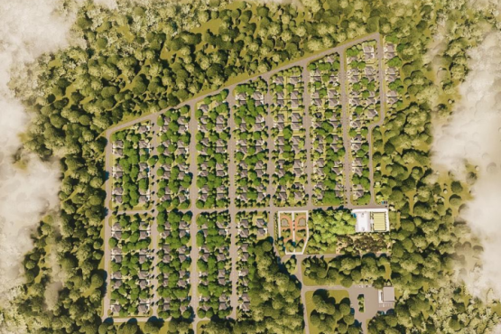 Источник фото: Панорама