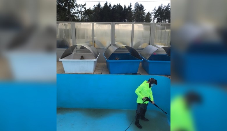 Фонд друзей балтийской нерпы