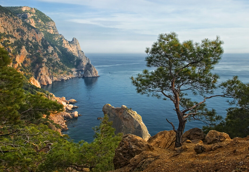 Природа и море крыма