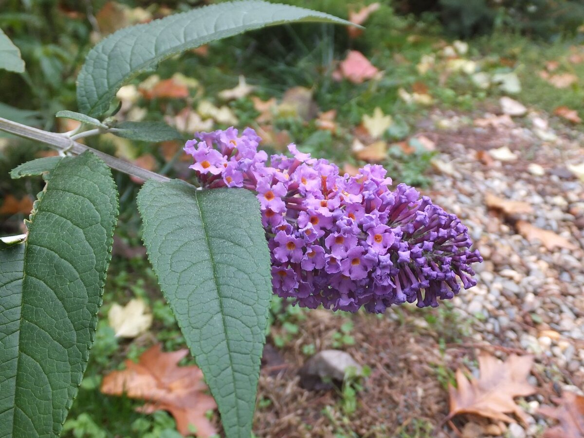 фото взято с сайта https://tvplaneta.ru/forum/uploads/gallery/album_810/gallery_3_810_53858.jpg