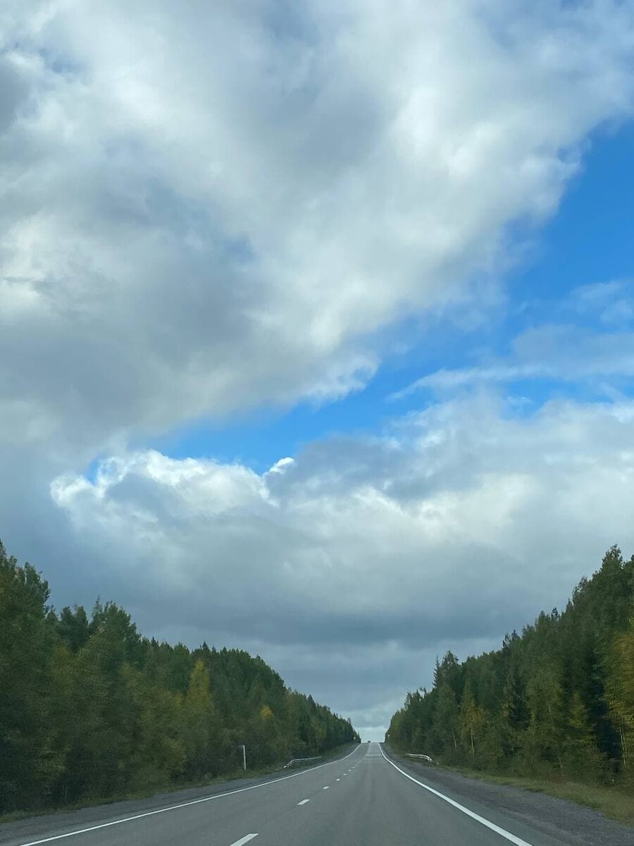 личное. Дорога домой