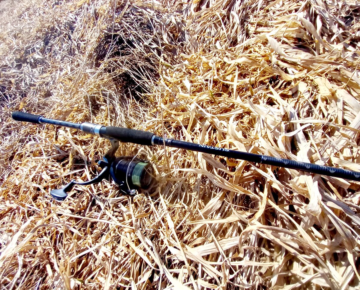 Shimano Sustain AX