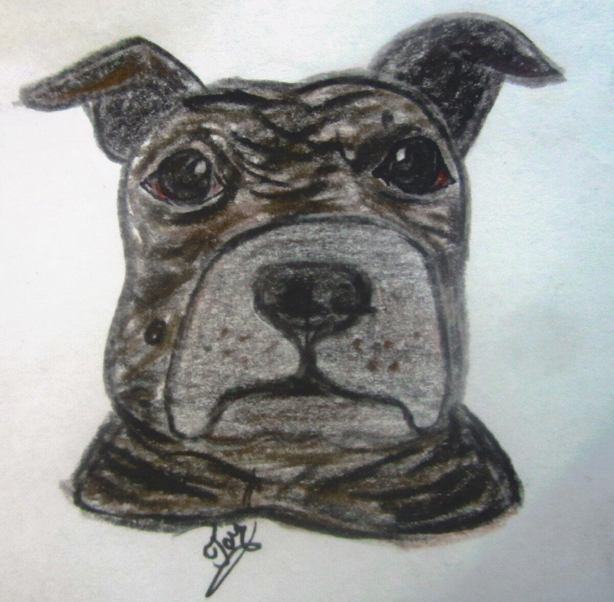 Простите, порода обязывает 🙄