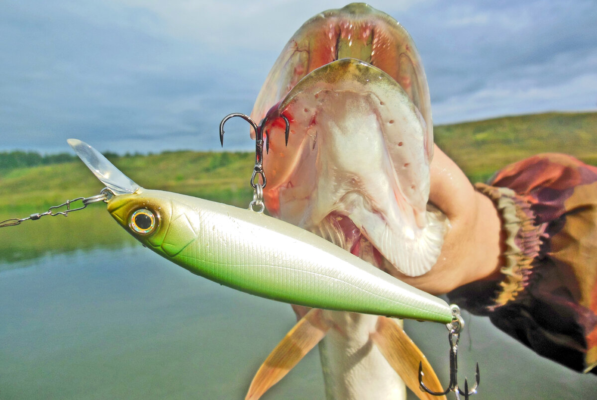 Pointer 100sp #250_crsd. Воблеры. Рыболовные воблеры. Воблер джексон карась. Троллинговые воблеры косадака.