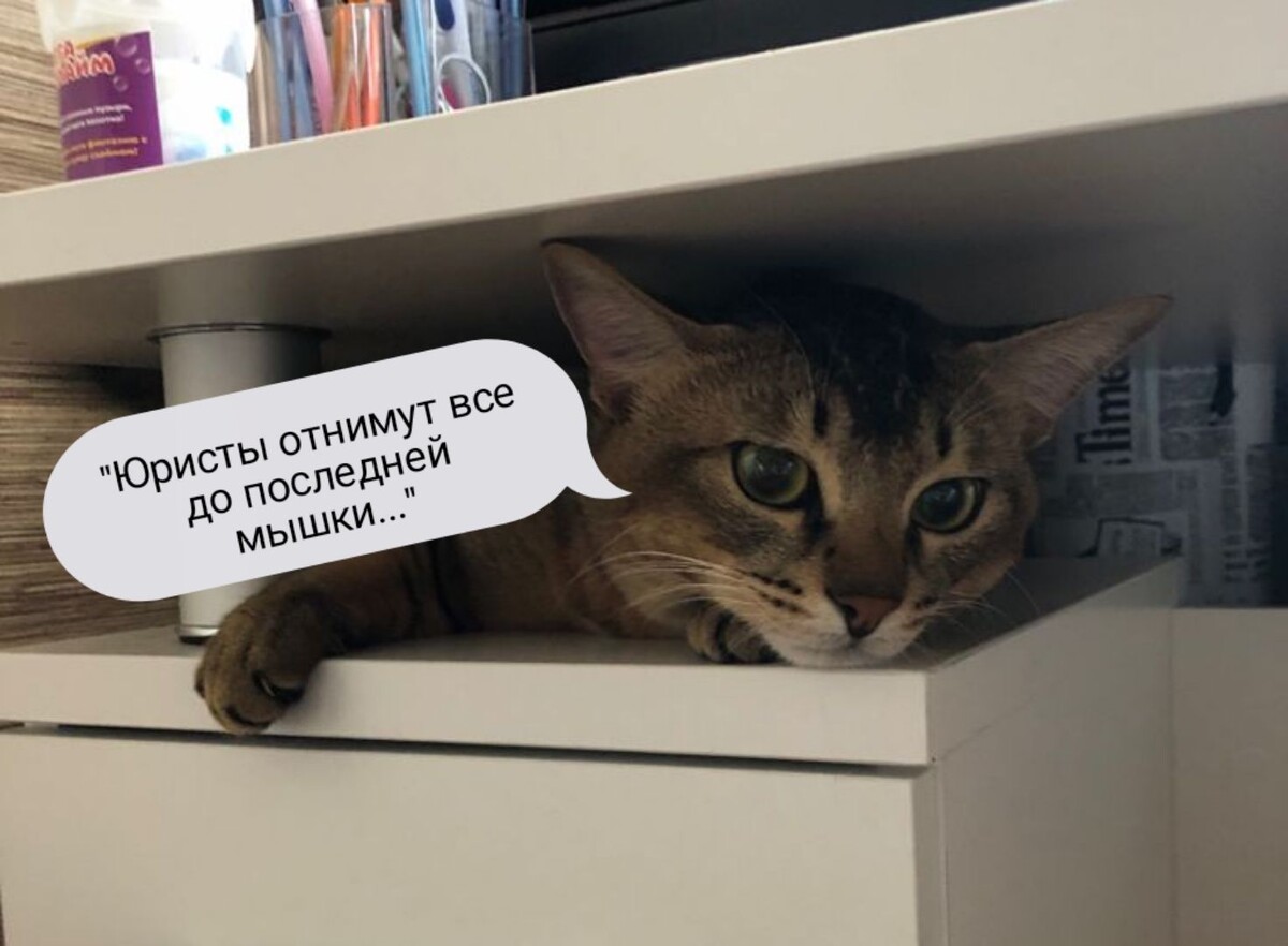 Миф "Отберут все до последней крошки" ошибочный!