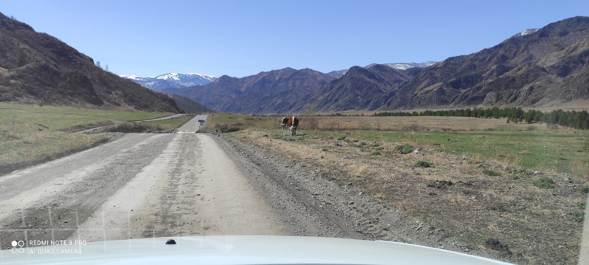 Чемальский тракт, в конце своего пути, превращается в укатанную гравийку.
